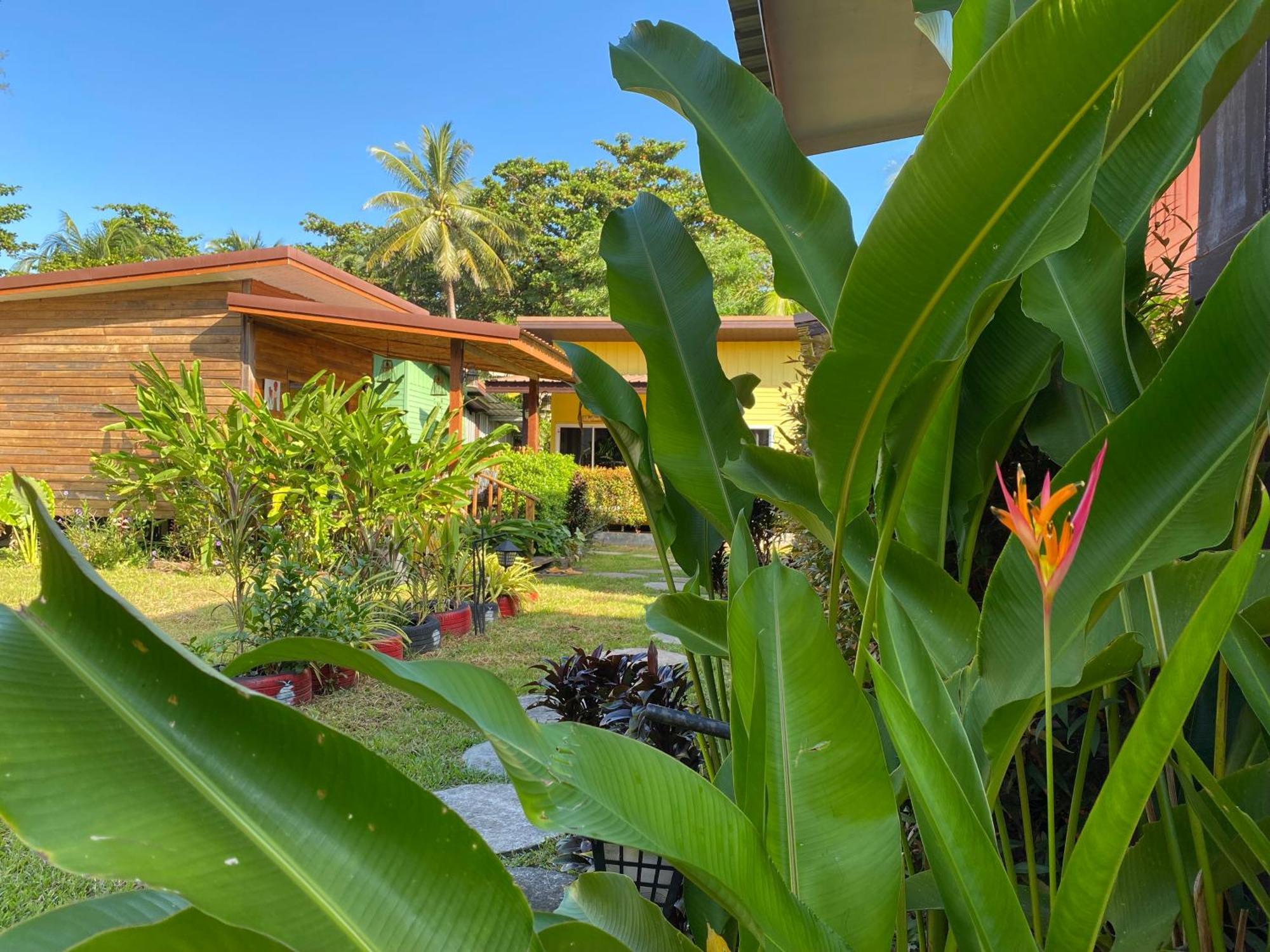 Coconut Lanta Resort @Klong Dow Beach Krabi town Εξωτερικό φωτογραφία